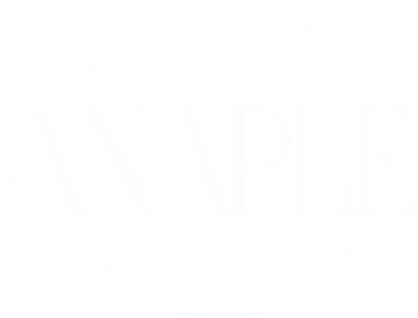 ANAPLE 로고